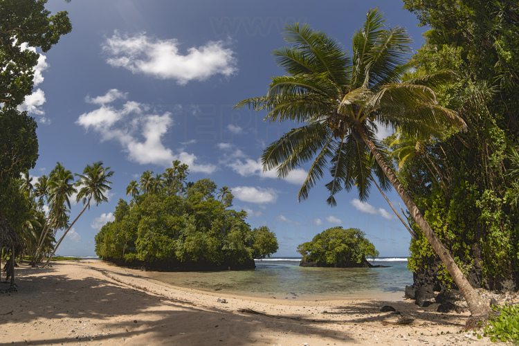 Iles Samoa (anciennes Samoa occidentales) - Ile d'Upolu : La plage de Vavau, sur la côte Sud de l'ïle. // Samoa Islands (former Western Samoa) - Upolu Island: Vavau beach, on the south coast of the island.