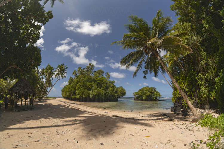 Iles Samoa (anciennes Samoa occidentales) - Ile d'Upolu : La plage de Vavau, sur la côte Sud de l'ïle. // Samoa Islands (former Western Samoa) - Upolu Island: Vavau beach, on the south coast of the island.