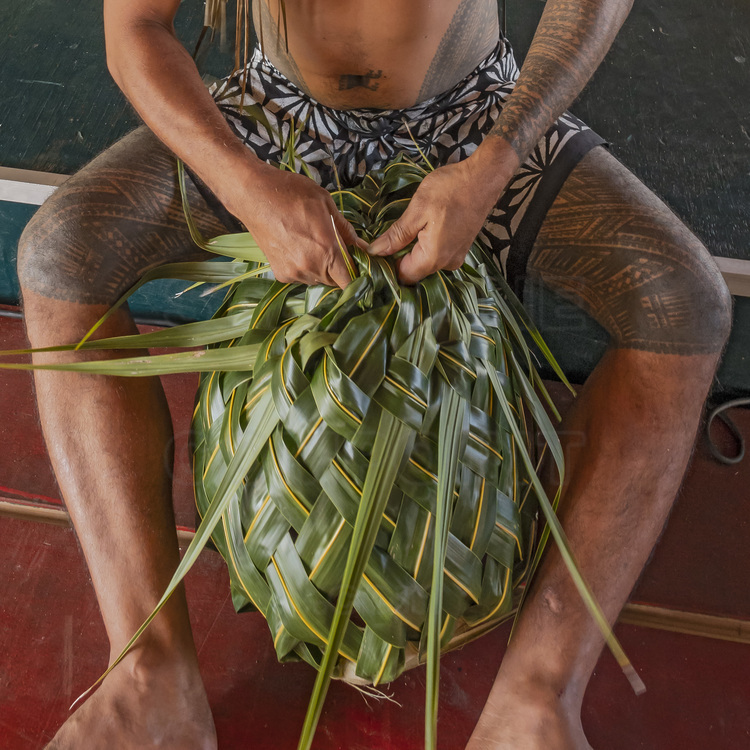 Iles Samoa (anciennes Samoa occidentales) - Ile d'Upolu - Apia : Au Cultural Heritage Center, confection traditionnelle de panier à partir d'une simple feuille de cocotier. // Samoa Islands (former Western Samoa) - Upolu Island - Apia: At the Cultural Heritage Center, traditional basket making from a simple coconut leaf.