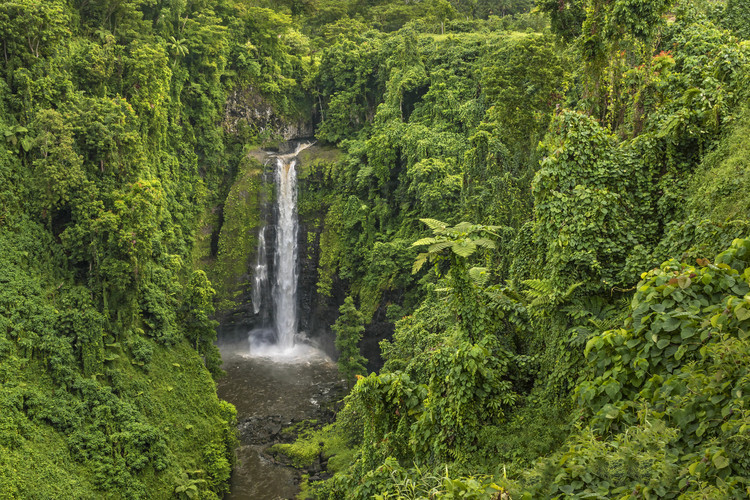 Iles Samoa (anciennes Samoa occidentales) - Ile d'Upolu : Cascade de Sopoaga, dans la partie Sud Est de l'île. // Samoa Islands (former Western Samoa) - Upolu Island: Sopoaga waterfall, in the South East part of the island.