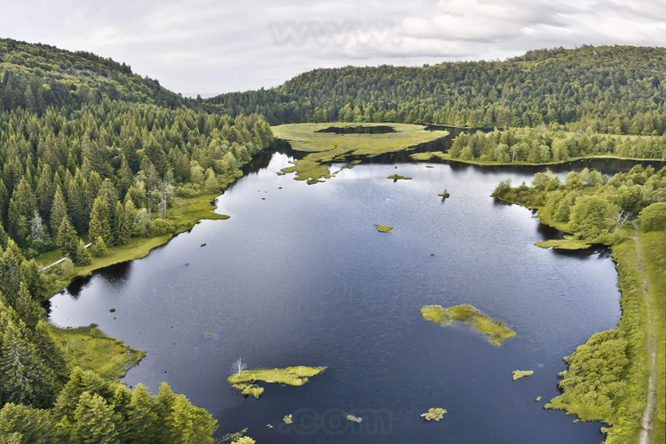 Grand Est - Vosges (88) : Rivages d’un lac canadien ? Lac de Lispach. Situé au pied du Hohneck, le Lac de Lispach, d'origine glaciaire, est entourée d’une belle forêt de conifères. Tourbière lacustre d'une superficie de 10 hectares, il se situe à une altitude de 900 mètres. Les passionnés de nature seront comblés par cette tourbière vraiment superbe, la faune et la flore étant très diversifiée. On peut faire le tour du lac à pied ou en raquette grâce à un sentier très bien aménagé : des panneaux d’informations sont mis en place pour répondre aux questions sur l’histoire de cette tourbière. La pêche y est autorisée (mais pas la baignade, ni les sports nautiques). // France - Grand Est - Vosges (88): Shores of a Canadian lake ? Lispach Lake. Located at the foot of the Hohneck, the Lispach Lake, of glacial origin, is surrounded by a beautiful coniferous forest. Lake bog with an area of 10 hectares, it is located at an altitude of 900 meters. Nature lovers will be delighted by this truly superb bog, the flora and fauna being very diverse. You can go around the lake on foot or on a snowshoe thanks to a very well-laid out path: information panels are set up to answer questions about the history of this bog. Fishing is allowed (but not swimming, nor water sports).