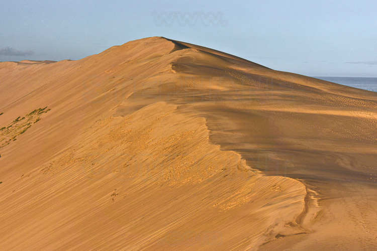 Nouvelle Aquitaine - Gironde (33) : Rivages de Namibie ? La dune du Pilat. Située en bordure du massif forestier des Landes de Gascogne et à l’embouchure du bassin d’Arcachon, la dune du Pilat impressionne autant par ses mensurations exceptionnelles que par sa beauté sauvage. Dominant le banc d’Arguin et faisant face au cap Ferret, elle mesure 2,7 km de long, 500 m de large et 100 à 115 m de haut en fonction des années. Ces dimensions en tout point exceptionnelles lui ont conféré le statut de plus haute dune d’Europe. La dune est sans cesse en mouvement vers l’intérieur, poussant lentement la forêt en arrière pour couvrir les maisons, les routes et même des parties du Mur de l’Atlantique. // France - New Aquitaine - Gironde (33): Shores of Namibia ? The Pilat dune. Located on the edge of the Landes de Gascogne forest massif and at the mouth of the Arcachon basin, the Pilat dune impresses as much with its exceptional dimensions as for its wild beauty. Overlooking the Banc d'Arguin and facing Cap Ferret, it is 2.7 km long, 500 m wide and 100 to 115 m high depending on the year. These exceptional dimensions have given it the status of the highest dune in Europe. The dune is constantly moving inward, slowly pushing the forest back to cover houses, roads and even parts of the Atlantic Wall.