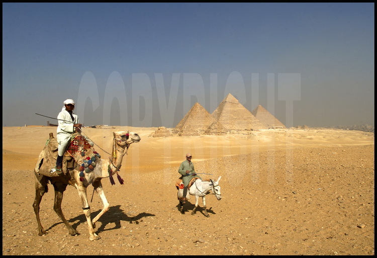 Depuis le désert de Libye, à l’Ouest du Caire, la célèbre vue dite des « neufs pyramides » : au premier plan, les trois pyramides des reines de Mykérinos. Derrière, les pyramides de Mykérinos, Khephren et Kheops. A droite de cette dernière, les trois pyramides des reines de Kheops. Toutes sont de la IVème dynastie. En arrière plan à droite, la ville du Caire.