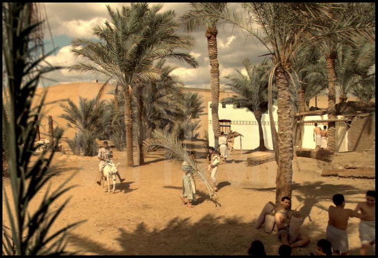 Daily life along the Nile 4300 years ago. Aside from the condition of the pyramids, not much has changed for the villagers and fishermen. 
© Gédéon Programmes.