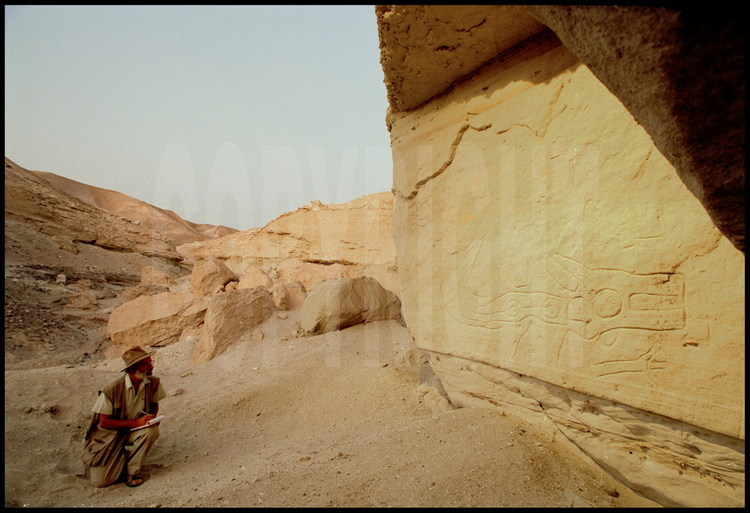 Canyon de Majuelos, région de Nazca, Pérou.
Toujours à la recherche de nouveaux témoignages du glorieux passé des Nazca, Giuseppe Orefici présente au public pour la première fois ce rare pétroglyphe qu’il a découvert il y a 2 ans. Datant du début de l’ère Nazca (3ème siècle avant JC), il représente un orque avec un bras (portant généralement une tête trophée). Le cétacé est une des plus importantes divinités du panthéon de la civilisation Nazca, qui était à l’origine un peuple côtier.