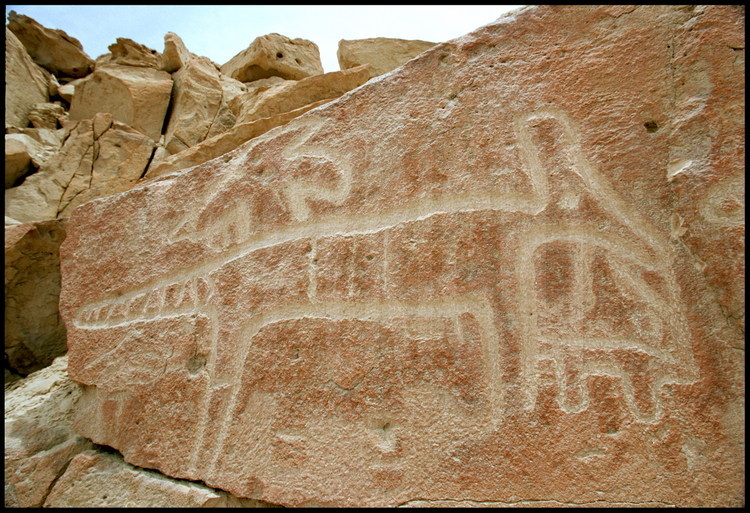 Canyon de Chichitara, région de Nazca, Pérou.
Au moins une centaine de pétroglyphes Nazca datant du 3ème siècle avant JC ont été répertoriés par l’équipe de Giuseppe Orefici dans la vallée sèche de Chichitara, à 60 kms au nord de la ville de Nazca. Celui-ci représente un grand félin et son petit. Symbole de puissance, le félin est la plus grande divinité de la civilisation Nazca.
