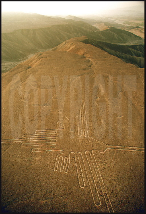 Pampa Jumana, région de Nazca, Pérou.
Géoglyphe mesurant 97 mètres du bec à la queue et 65 mètres d’envergure, réalisé au 4ème siècle de notre ère. Il s’agit d’un colibri (oiseau-mouche), représentation animale divine de la civilisation Nazca. Avec le temps (des millions d’années), l’oxyde ferreux contenu dans le gravier à la surface du désert a foncé le sol. Il suffisait aux Nazcas d’enlever une mince couche de cailloux pour découvrir la couleur d’origine, blanc cassé. Comme tous les géoglyphes de la Pampa Jumana, le colibri est invisible depuis le sol.