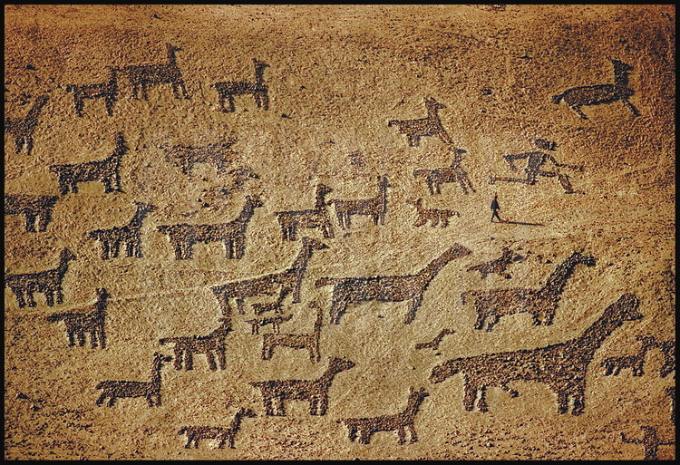 Canyon de Tilviche, désert d’Atacama, Chili.
Ce géoglyphe réalisé à flanc de falaise au 10ème siècle de notre ère représente un troupeau de lamas et son berger se dirigeant vers l’océan. Cette immense fresque d’une largeur de 55 mètres servait probablement de balise pour les caravaniers qui partaient des premiers contreforts de la Cordillière des Andes, traversaient le désert et finissaient leur périple au pied de l’Océan Pacifique. Prévus pour être observés depuis l’autre coté du canyon, les dessins, assemblés sur une pente de 35 degrés, possèdent une perpective et des proportions parfaites.