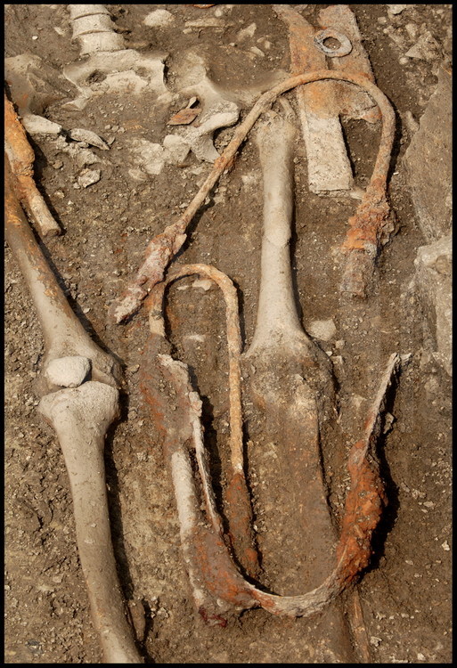 Après plusieurs jours de fouilles, l’équipe dirigée par l’archéologue Daniele Vitali a mis au jour une tombe de guerrier celte avec tout son armement. Epée, fourreau, pointes de lances et javelot : cette panoplie est exactement la même que celles que l’on trouve au nord des Alpes dans les nécropoles véritablement celtiques. Mais ici, la découverte dans cette tombe de mobilier funéraire étrusque donne à cette découverte un caractère unique : elle permet de déduire que, dès le IV siècle avant J.C., la fusion entre la communauté étrusque, présente dans la région depuis plusieurs siècles et les nouveaux arrivants, les Celtes, était déjà consommée. Chez les Celtes, une arme naît et meurt avec le même homme et le guerrier celte est toujours enterré avec sa panoplie militaire. C’est pourquoi épée, lance et fourreau sont tordus et martelés à chaud et ainsi rendus inutilisables.