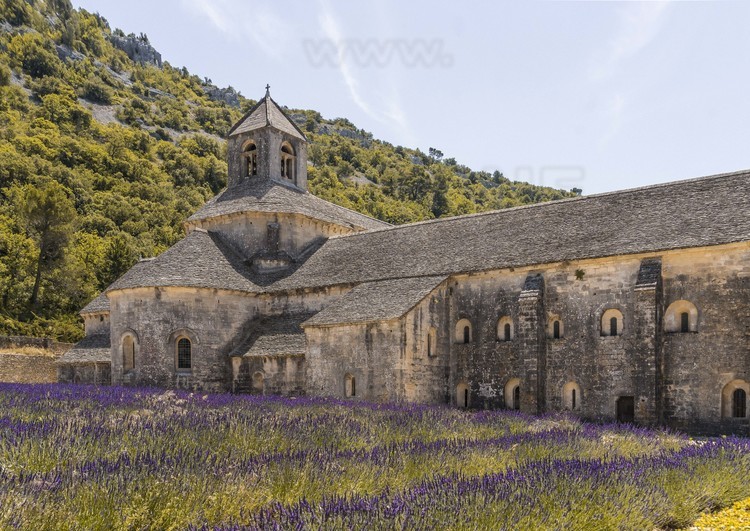 Vaucluse (84) - Abbaye de Sénanque // France - Vaucluse (84) - Abbaye de Sénanque