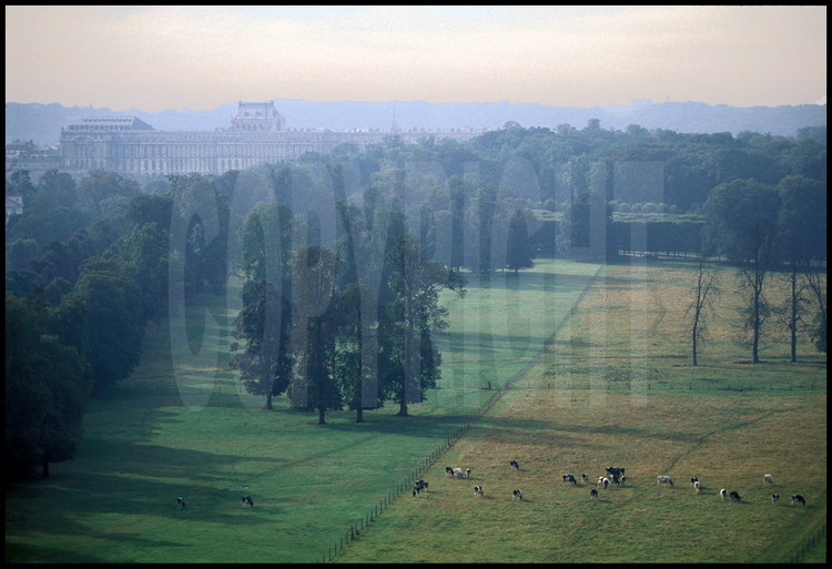 Le parc de Versailles, partie nord. En arrière plan, l’aile nord du Château.