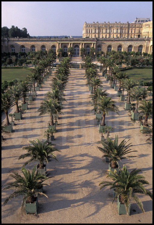 Allée centrale de l’Orangerie. En arrière plan, le corps central du Château.