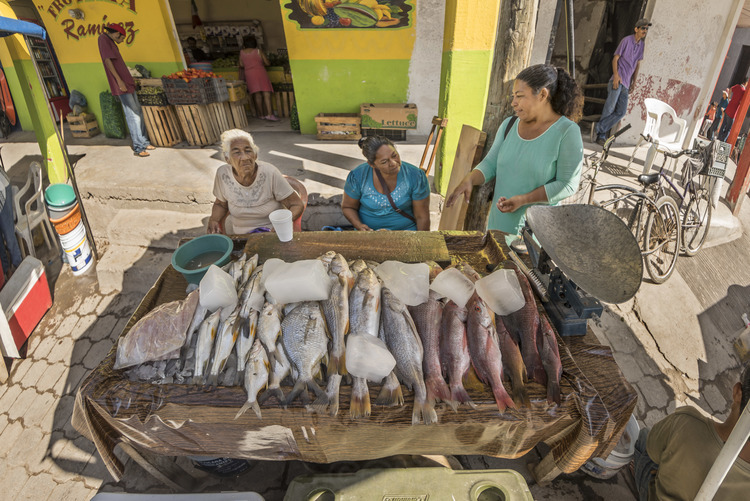 Jour 5 - San Blas : marché aux poissons de la rue Sinaloa