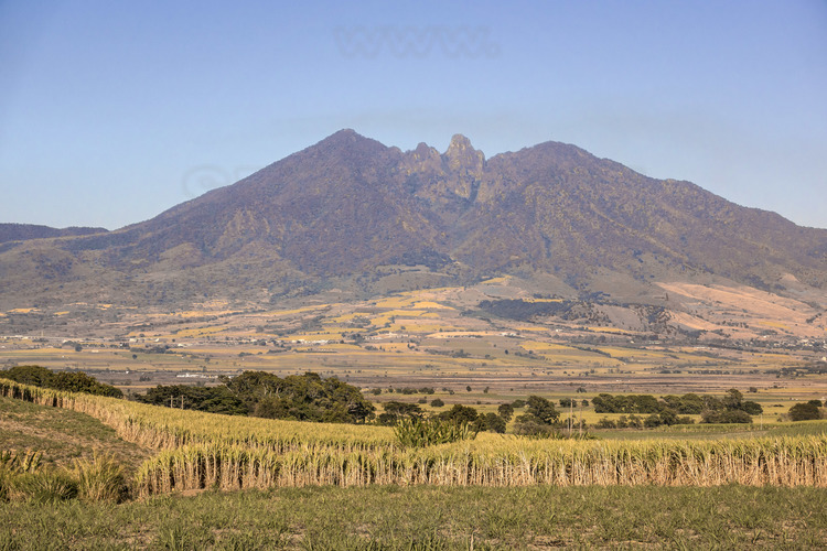 Jour 4 - Champs de canne à sucre sur la route entre Chacala et Tepic : en arrière plan, le volcan Tepeltiltic