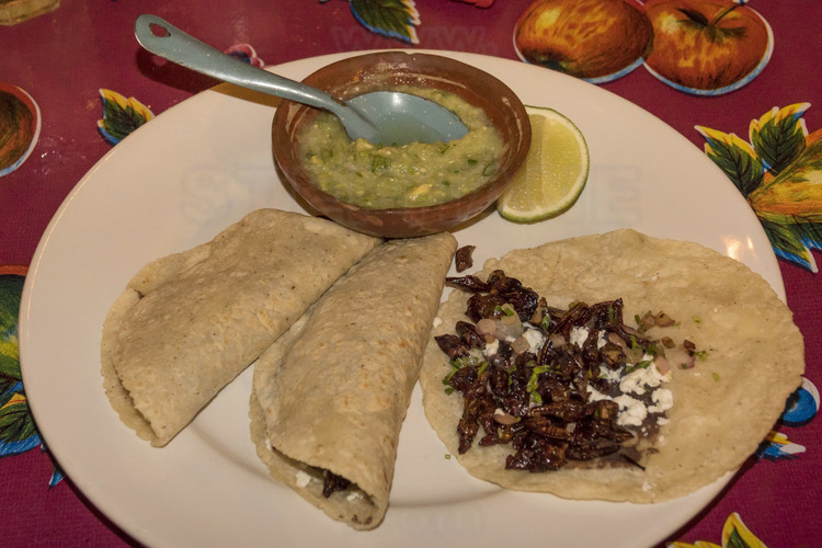 Jour 9 - Puerto Vallarta : restaurant Arrayan, cuisine mexicaine traditionnelle haut de gamme. plat Tacos au guacamole et sauterelles grillées
