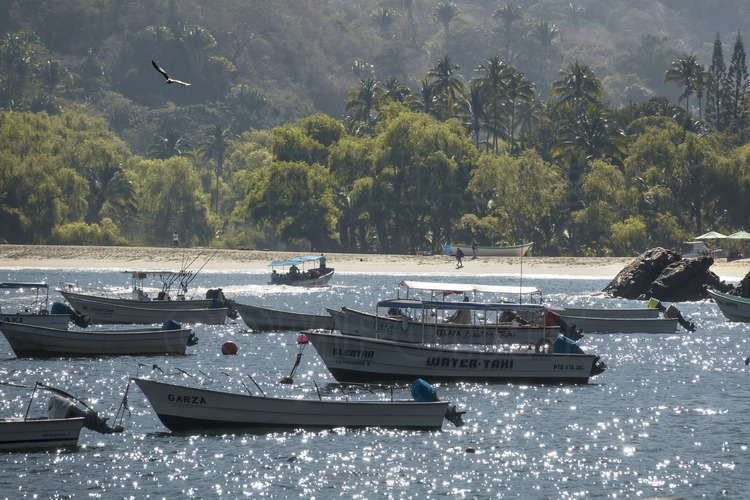 Jour 7 - Plages et villages du sud de la Bahia de Banderas : plage et port de Yelapa