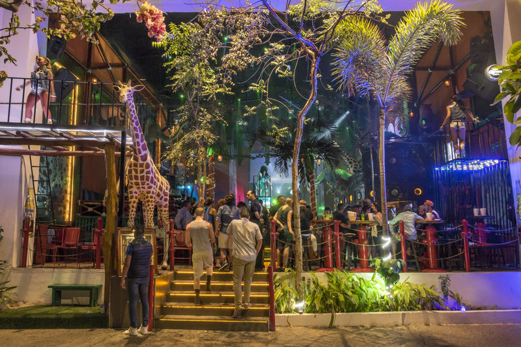 Jour 9 - Puerto Vallarta festif, le Malecon by night : bar- boite de nuit le Zoo