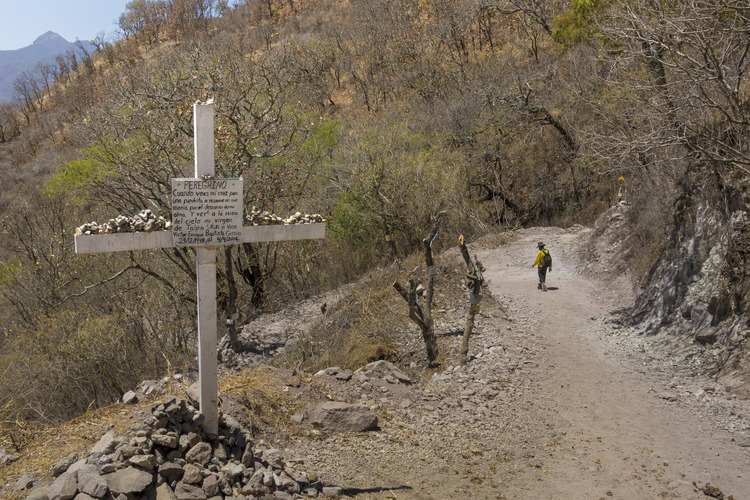 Jour 8 - Vers les villages de la Sierra Madre : entre Mascota et Talpa de Allende, un pelerin à pied se dirige vers Talpa de Allende, but final de son pelerinage