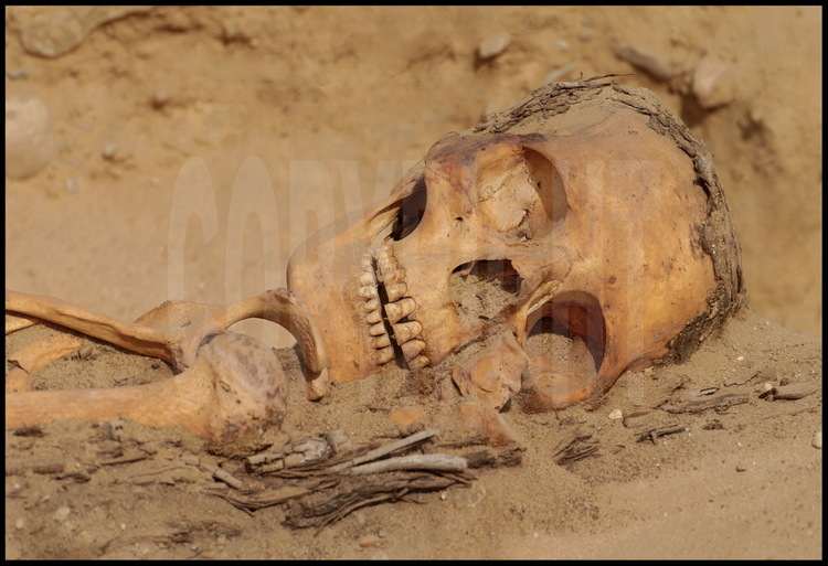 Squelette intact d’une jeune personne enveloppée dans une natte végétale. Des dizaines d’enterrements de ce genre ont été découverts dans les couches supérieures de l’infime surface dégagée de la nouvelle nécropole de Tabbet al-Guech. Le fait que ces enterrements n’aient pas été perturbés pendant plus de 2000 ans montre que cette nécropole fut oubliée. Tout laisse donc à penser que les couches inférieures le furent aussi…