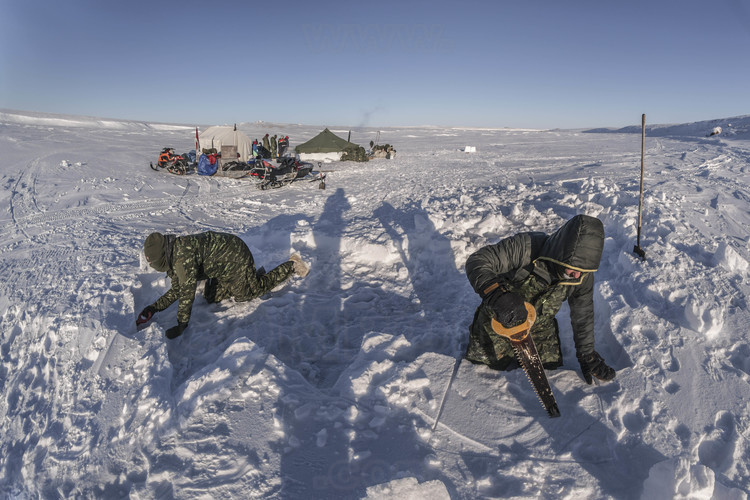 Canada - State of Nunavut - Operation NUNALIVUT 2018 - Surroundings of Cambridge Bay - Survival Camp 2, located on a bay in the Northwest Passage. The soldiers cut snow blocks with the saw: these will be used to strengthen the sides of the tents and build an emergency igloo.