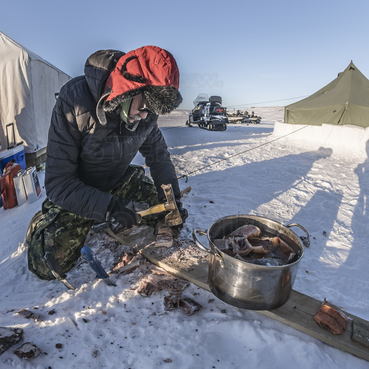 Canada - State of Nunavut - Operation NUNALIVUT 2018 - Surroundings of Cambridge Bay - Survival Camp 2, located on a bay in the Northwest Passage. Ranger Jimmy Evalik, 59, Chief Ranger of the Cambridge Bay area and leader of Camp No. 2, prepares the evening meal: freshly caught lake trout, sawn and then cut with an ax and boiled. This fish is also delicious raw.