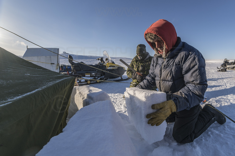 Canada - Etat du Nunavut - Opération Nunalivut 2018 - Environs de Cambridge Bay - Camp de survie n° 2, installé sur une baie du passage du Nord Ouest. Un blizzard d'intensité moyenne est prévu la nuit prochaine : il faut consolider la base des tentes avec des blocs de neige, préalablement découpés à la scie. // Canada - State of Nunavut - Operation NUNALIVUT 2018 - Surroundings of Cambridge Bay - Survival Camp 2, located on a bay in the Northwest Passage. A blizzard of moderate intensity is expected next night: it is necessary to consolidate the base of the tents with blocks of snow, previously cut with the saw.