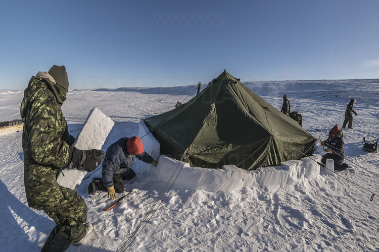 Canada - Etat du Nunavut - Opération Nunalivut 2018 - Environs de Cambridge Bay - Camp de survie n° 2, installé sur une baie du passage du Nord Ouest. Un blizzard d'intensité moyenne est prévu la nuit prochaine : il faut consolider la base des tentes avec des blocs de neige, préalablement découpés à la scie. // Canada - State of Nunavut - Operation NUNALIVUT 2018 - Surroundings of Cambridge Bay - Survival Camp 2, located on a bay in the Northwest Passage. A blizzard of moderate intensity is expected next night: it is necessary to consolidate the base of the tents with blocks of snow, previously cut with the saw.